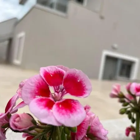 Maria Eirini Lechaio