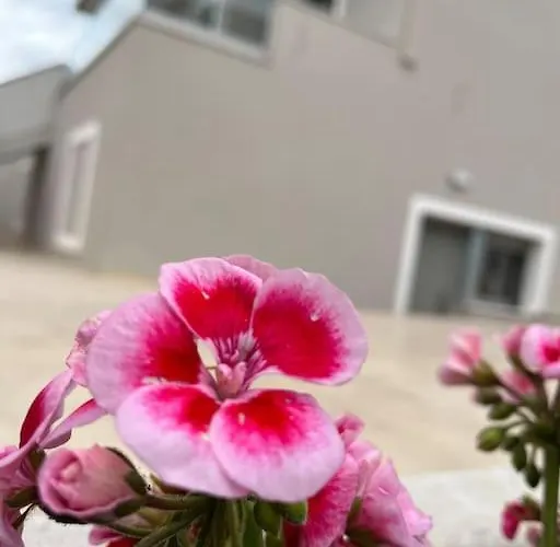 Maria Eirini Lechaio